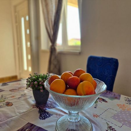 Apartments Josi - Parking And Barbecue Grebastica Ngoại thất bức ảnh