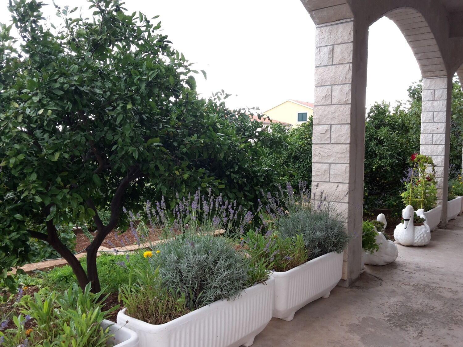 Apartments Josi - Parking And Barbecue Grebastica Ngoại thất bức ảnh